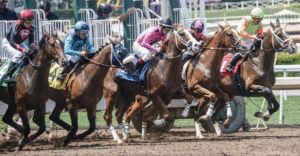 Qatar horse racing betting