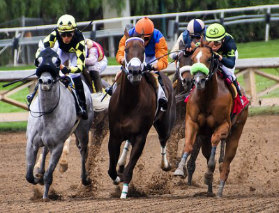 Qatar horse racing betting